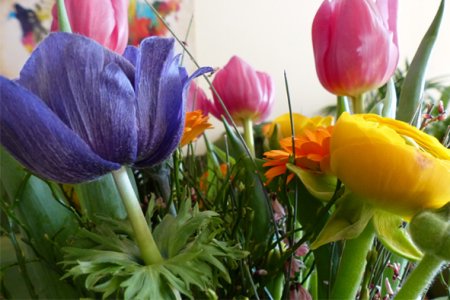 Bild eines bunten Blumenstrausses, fabrari