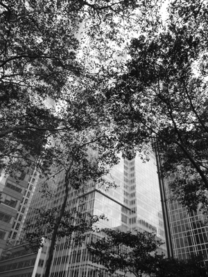 Foto NY SW Fabrari