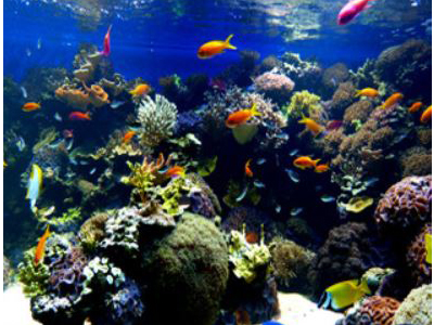 ©fabrari, Aquarium im Haus des Meeres