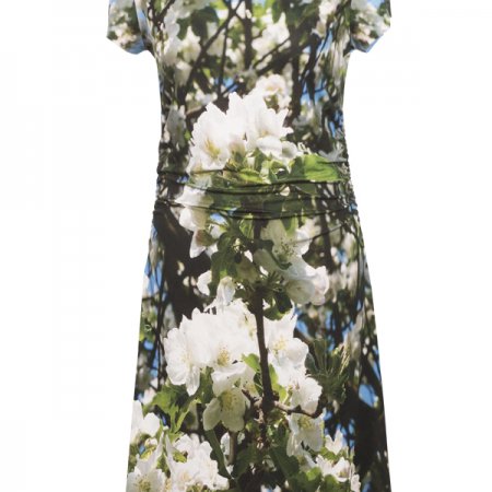 Kleid mit Motiv eines Marillenbaums
