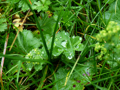 KopfKunst "Natur pur" – Bild 3